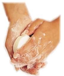 Lavarse las manos para evitar cualquier contaminación.