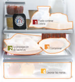 limpiar el frigorífico frecuentemente para evitar la listeriosis